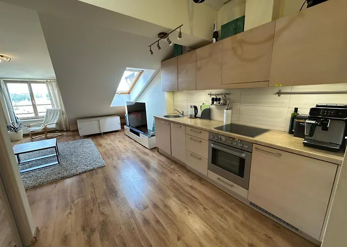 V3 In The Old Town With View Βίλνιους