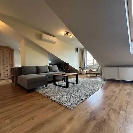 V3 In The Old Town With View Apartament Wilno