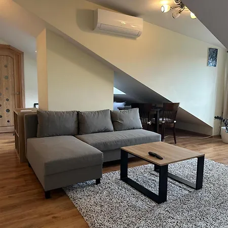 V3 In The Old Town With View Apartamento Vilna