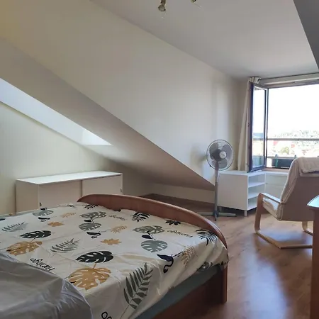 Apartament V3 In The Old Town With View Wilno