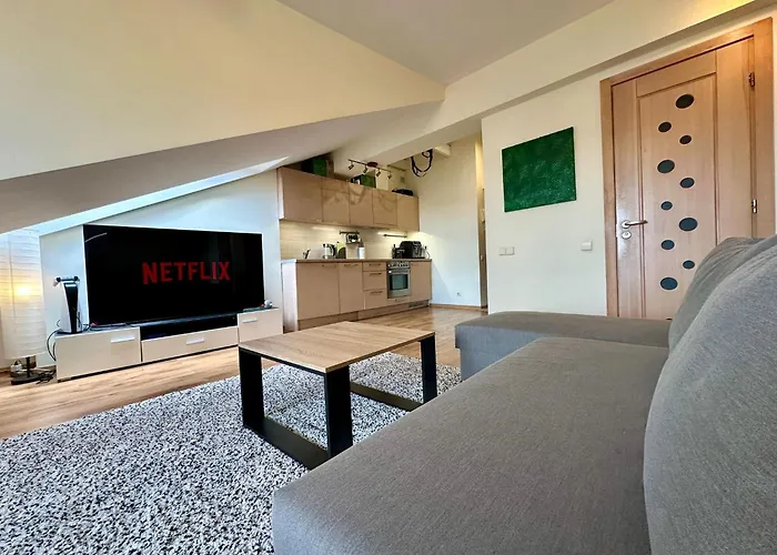 Apartament V3 In The Old Town With View *